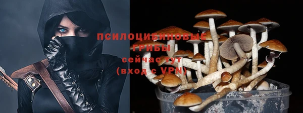 ПСИЛОЦИБИНОВЫЕ ГРИБЫ Няндома