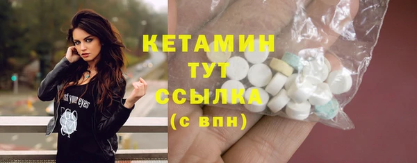 крисы Новозыбков