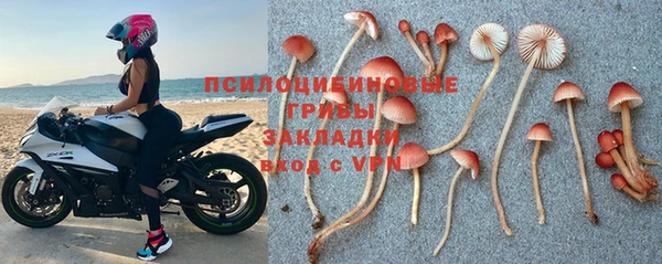 гидропоника Нягань