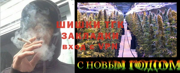 крисы Новозыбков