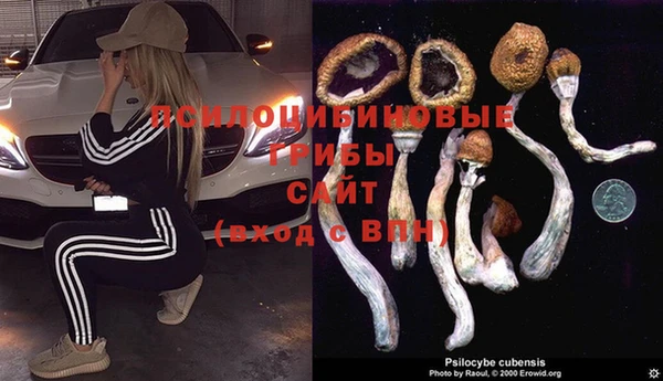 ГАЛЛЮЦИНОГЕННЫЕ ГРИБЫ Новокубанск