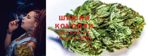 ПСИЛОЦИБИНОВЫЕ ГРИБЫ Няндома